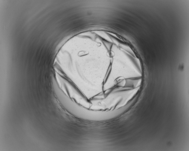 X0000113201097200910221034