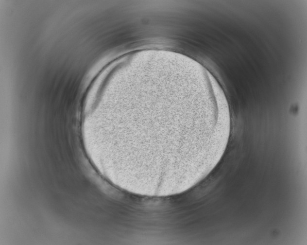 X0000113201099200910221034