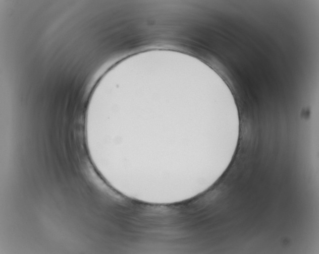 X0000113201100200910221034