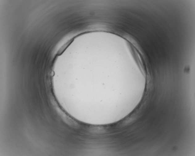 X0000113201101200910221034