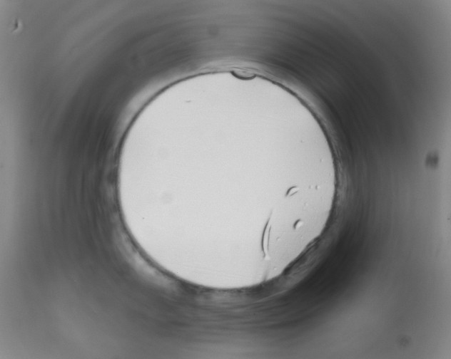 X0000113201102200910221034