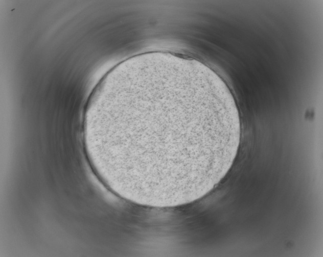X0000113201103200910221034