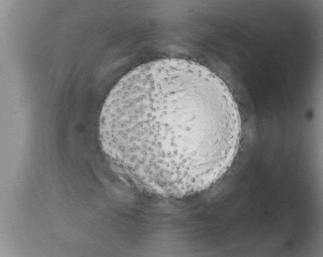 X0000113201105200910221033