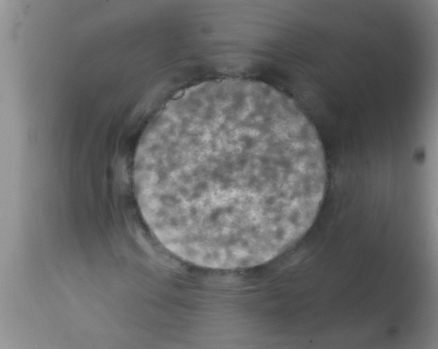 X0000113201106200910221033