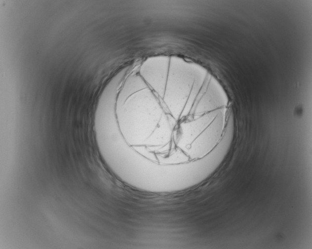 X0000113201108200910221033