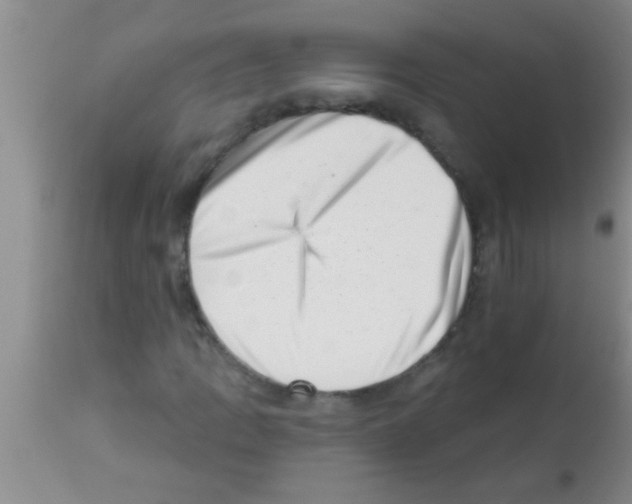 X0000113201109200910221033