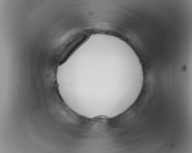 X0000113201110200910221033