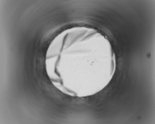X0000113201111200910221033