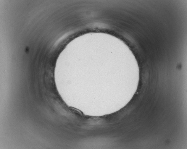 X0000113201112200910221033