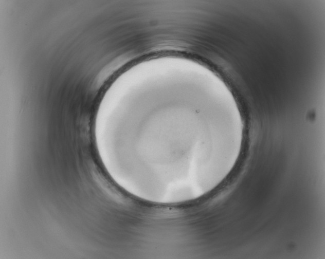 X0000113201113200910221033