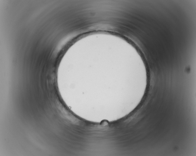 X0000113201115200910221034