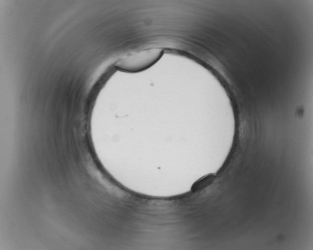 X0000113201116200910221034