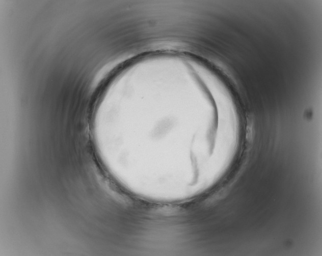 X0000113201117200910221034
