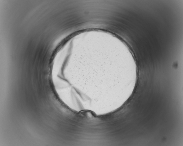 X0000113201119200910221034