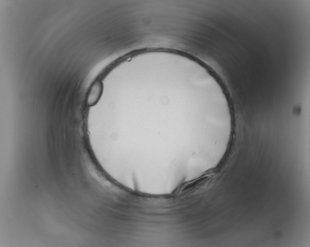 X0000113201120200910221034