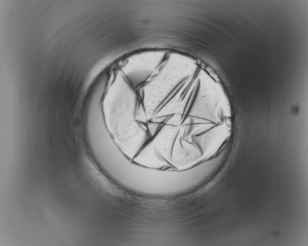X0000113201122200910221034