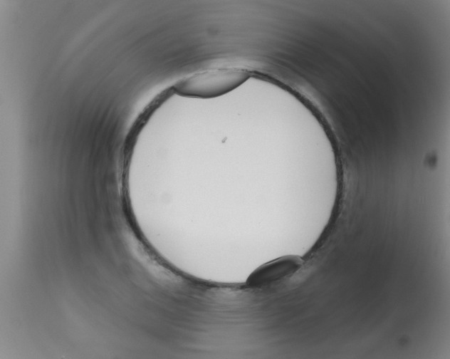 X0000113201124200910221034