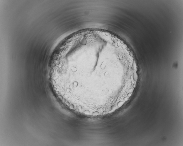 X0000113201125200910221034