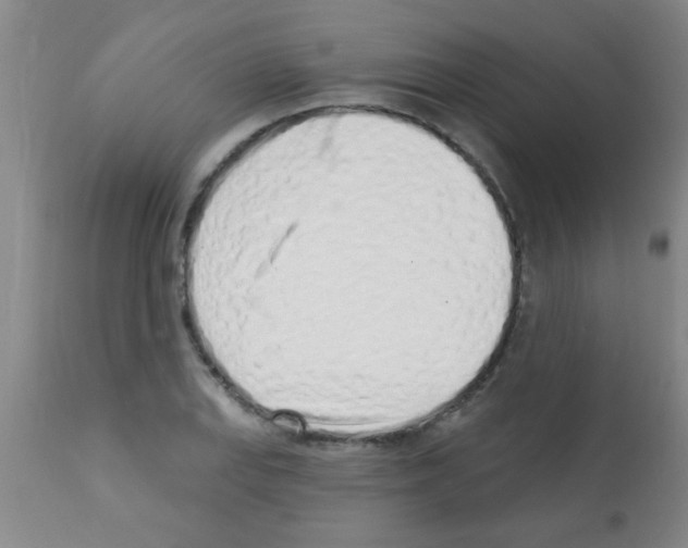 X0000113201127200910221034