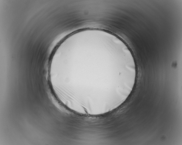 X0000113201128200910221034