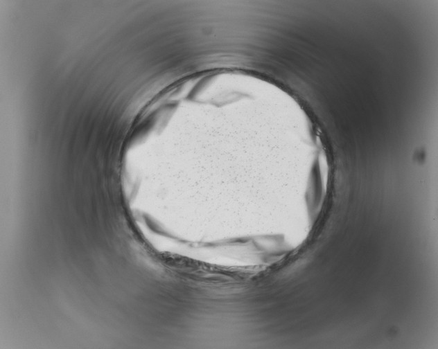 X0000113201129200910221034