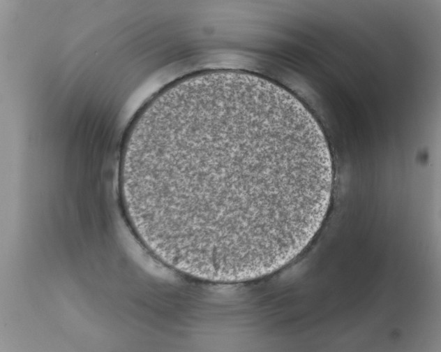 X0000113201130200910221034