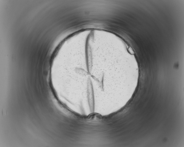 X0000113201131200910221034