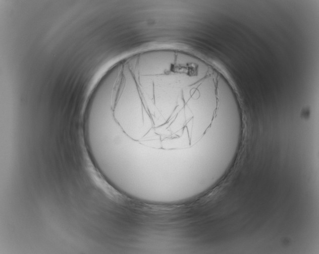 X0000113201132200910221034