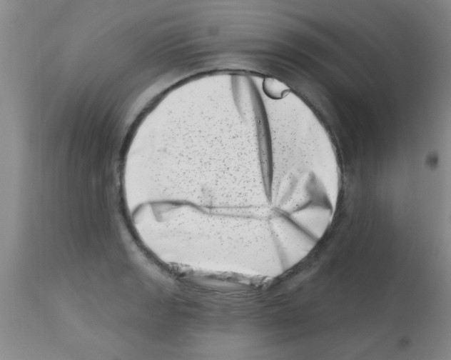 X0000113201133200910221034