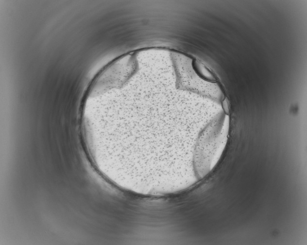 X0000113201135200910221034
