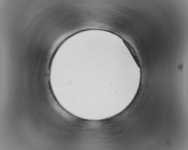 X0000113201136200910221034