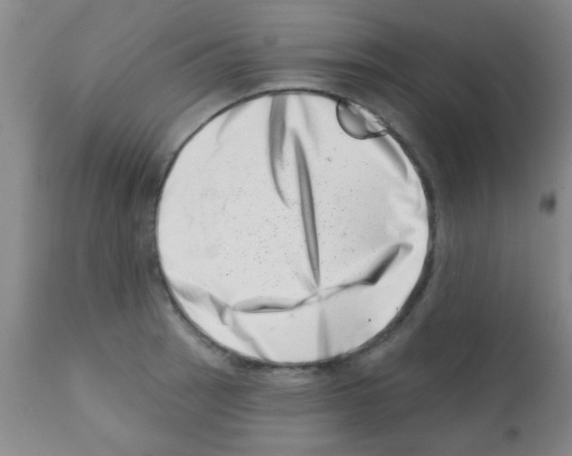 X0000113201137200910221034