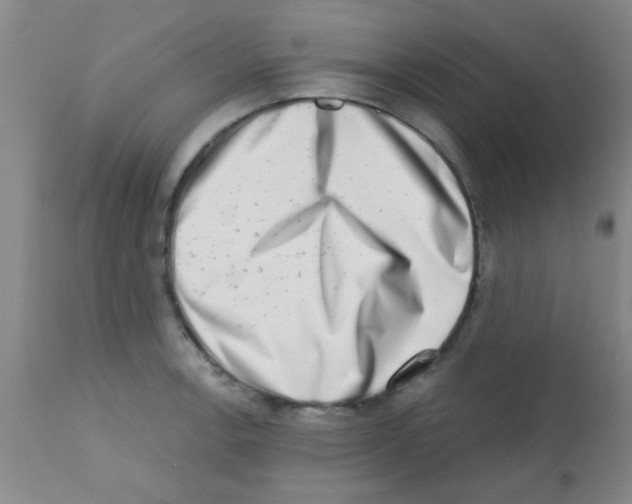 X0000113201138200910221034