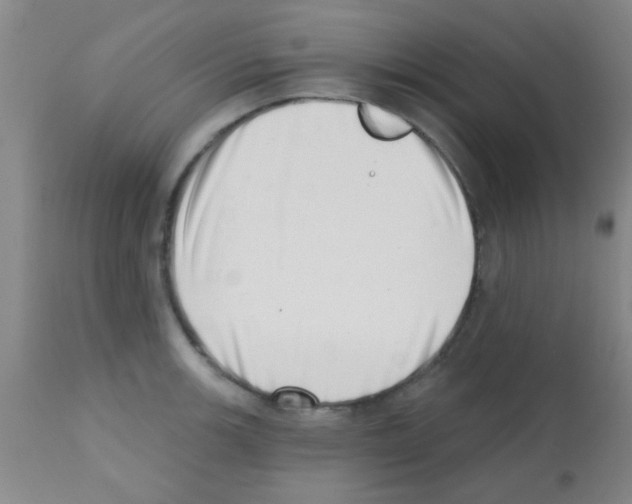 X0000113201139200910221034