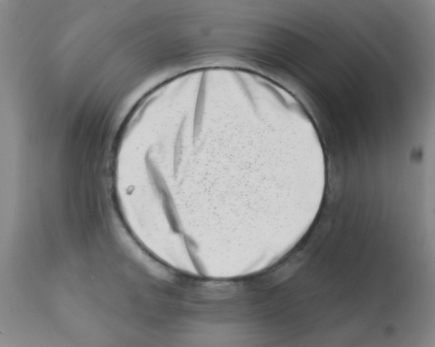 X0000113201142200910221034