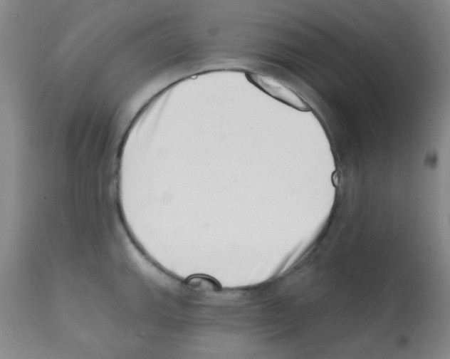 X0000113201143200910221034