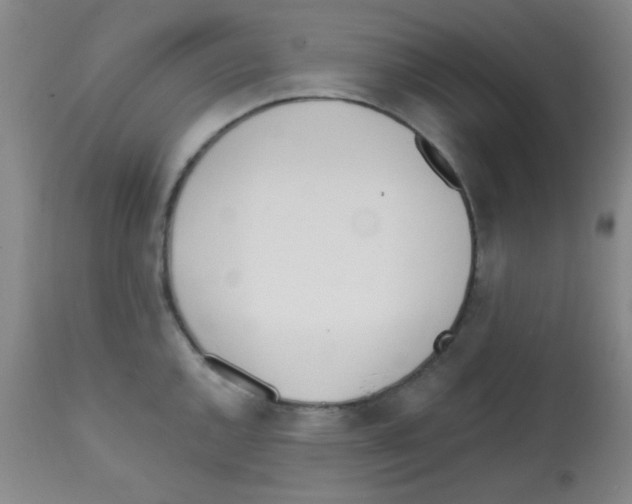 X0000113201144200910221034