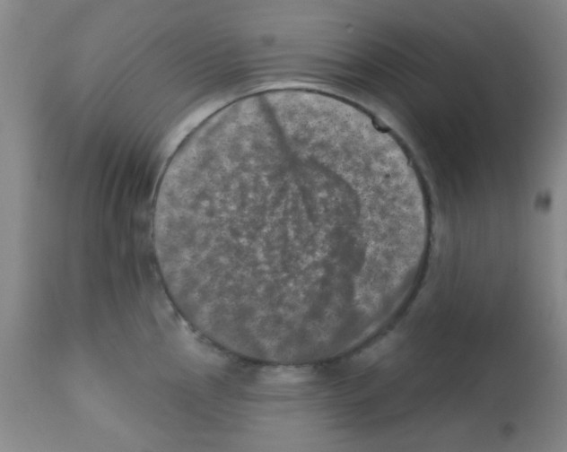 X0000113201145200910221034