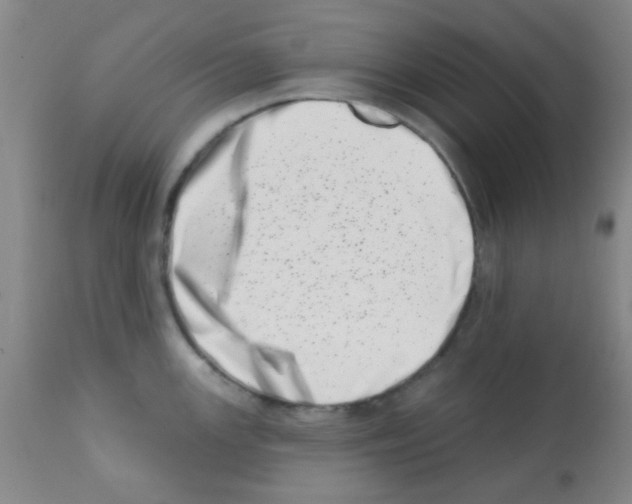 X0000113201147200910221034