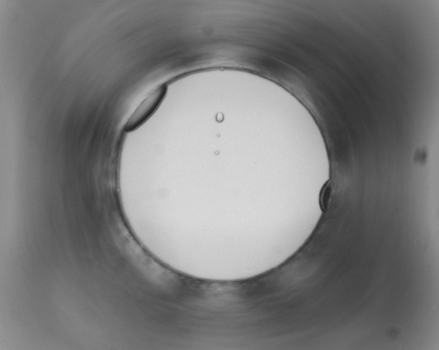 X0000113201148200910221034