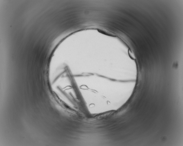 X0000113201149200910221034