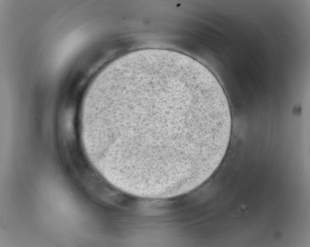 X0000113201150200910221034