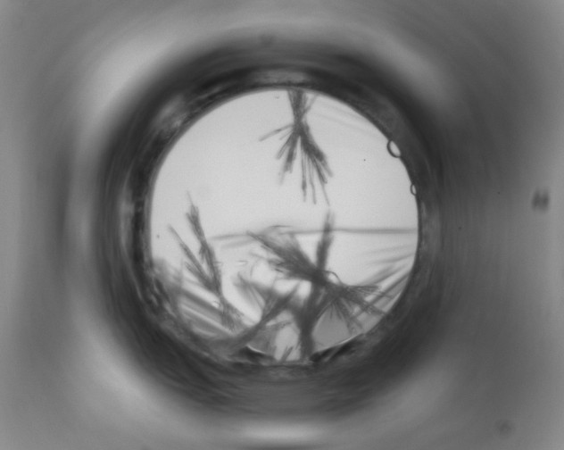 X0000113201151200910221034