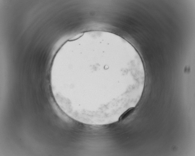 X0000113201152200910221034