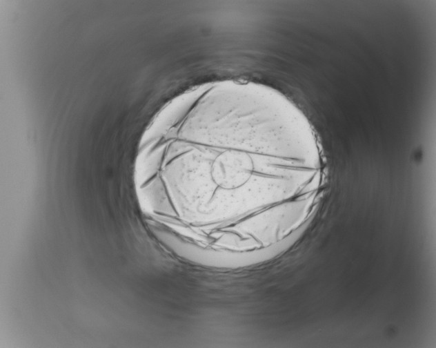 X0000113201153200910221033