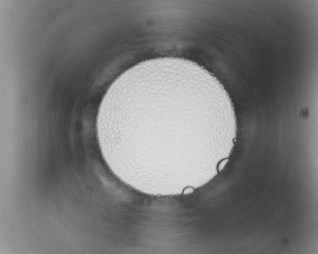 X0000113201154200910221033