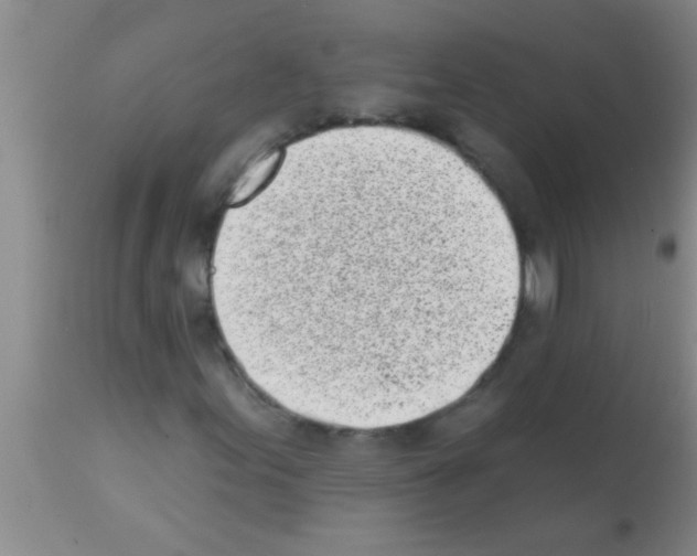 X0000113201155200910221033