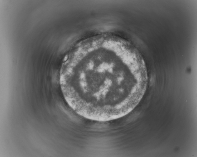 X0000113201156200910221033