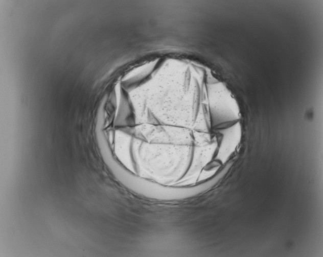 X0000113201157200910221033