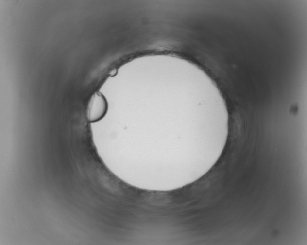 X0000113201158200910221033